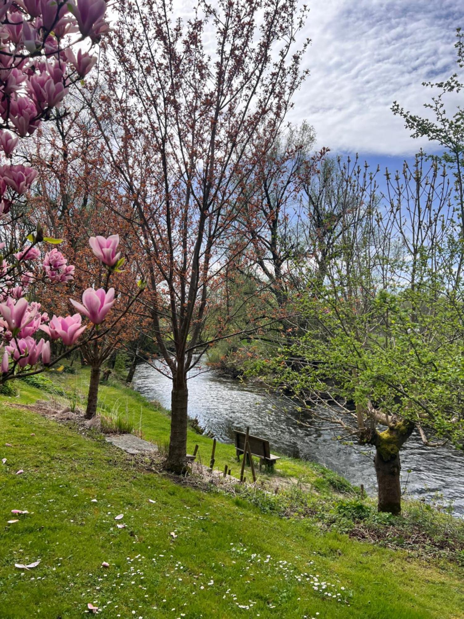 אריסקירך Am Flussgarten מראה חיצוני תמונה