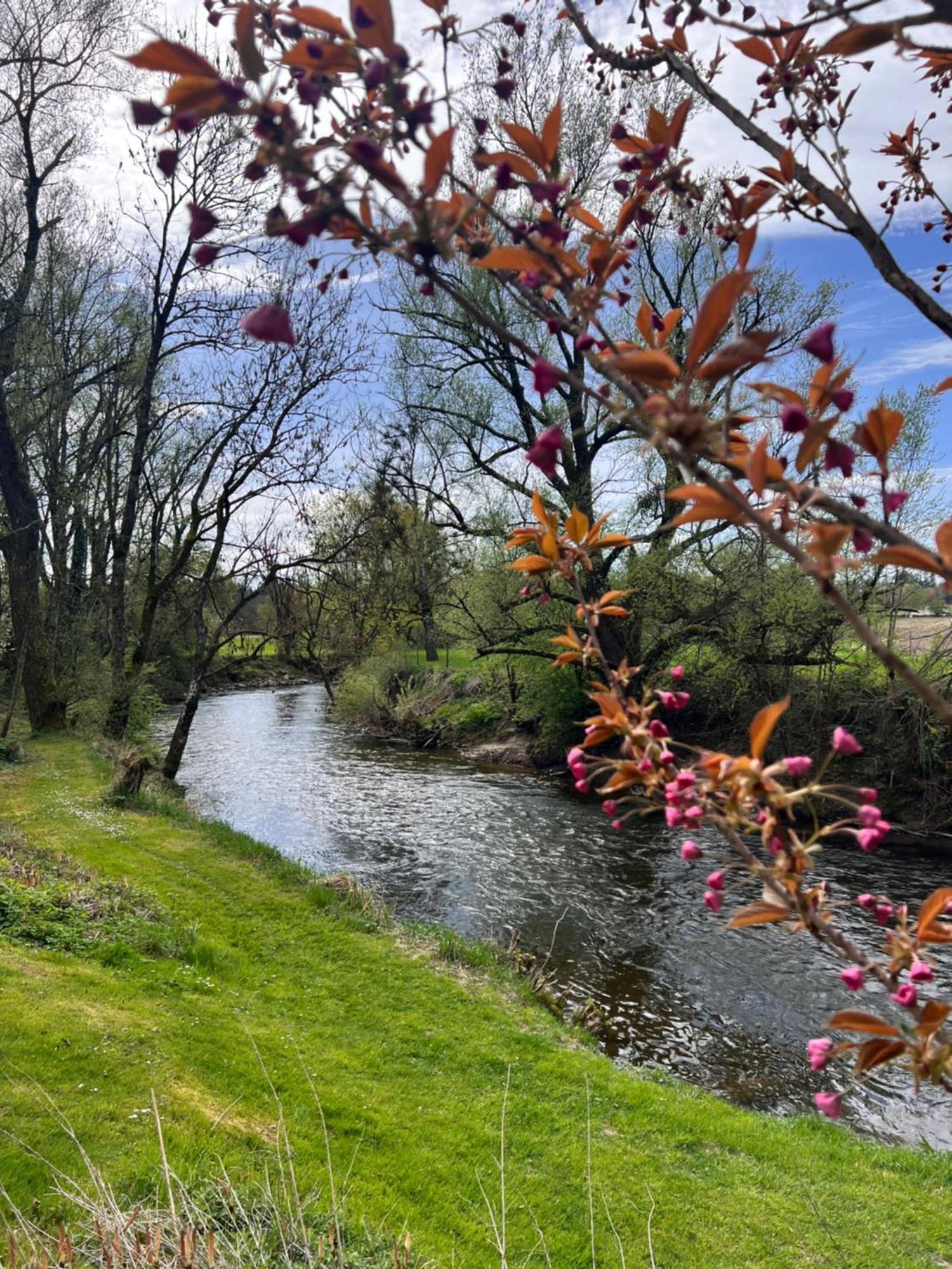 אריסקירך Am Flussgarten מראה חיצוני תמונה