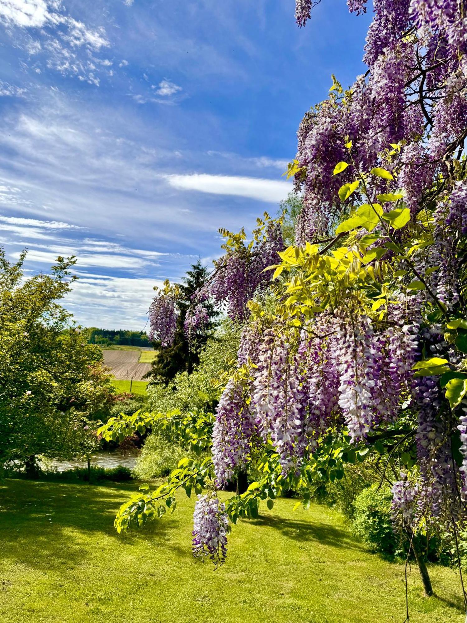 אריסקירך Am Flussgarten מראה חיצוני תמונה